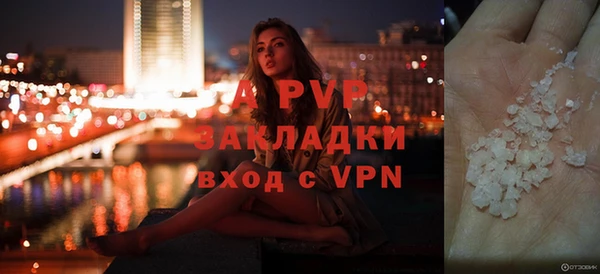 ALPHA PVP Иннополис