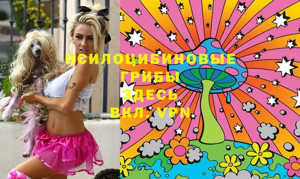 марки nbome Инта