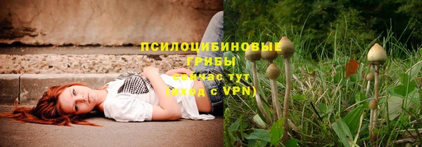 ALPHA PVP Козельск