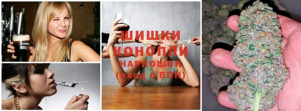 spice Карпинск