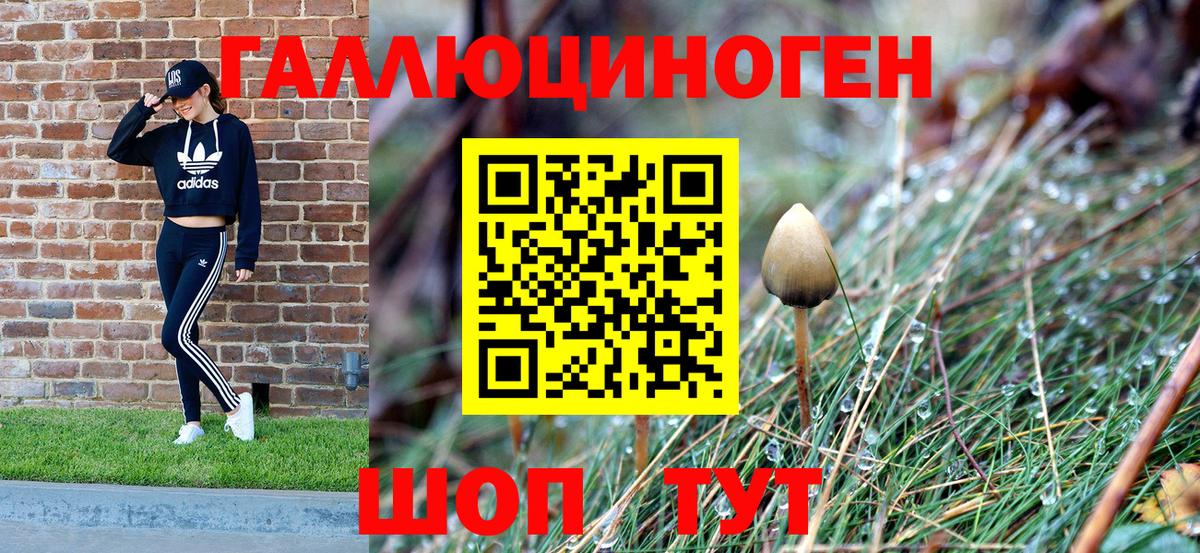 Псилоцибиновые грибы GOLDEN TEACHER Углич