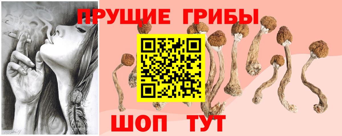 Псилоцибиновые грибы Psilocybe  Вход с VPN  Углич  Псилоцибиновые грибы GOLDEN TEACHER 